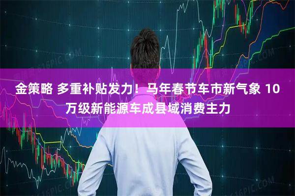 金策略 多重补贴发力！马年春节车市新气象 10万级新能源车成县域消费主力