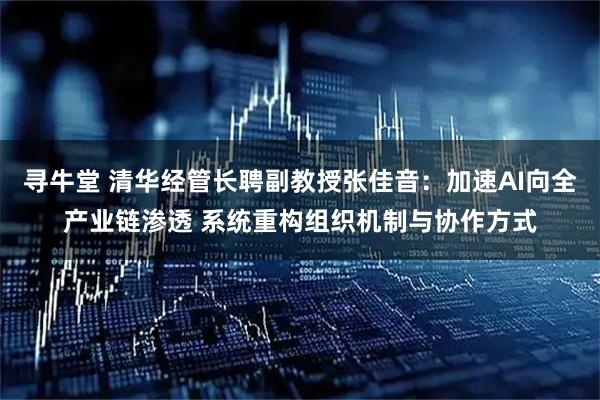 寻牛堂 清华经管长聘副教授张佳音：加速AI向全产业链渗透 系统重构组织机制与协作方式