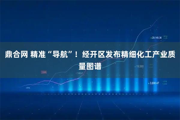 鼎合网 精准“导航”！经开区发布精细化工产业质量图谱