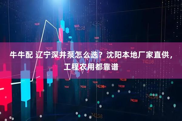牛牛配 辽宁深井泵怎么选？沈阳本地厂家直供，工程农用都靠谱