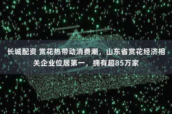 长城配资 赏花热带动消费潮，山东省赏花经济相关企业位居第一，拥有超85万家