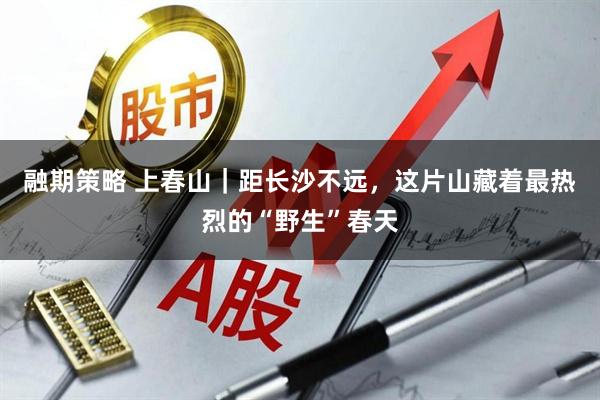 融期策略 上春山｜距长沙不远，这片山藏着最热烈的“野生”春天