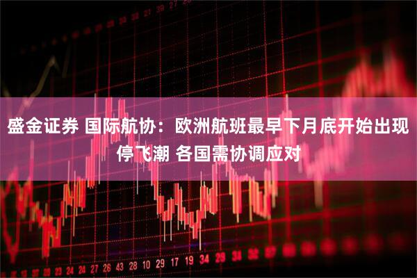 盛金证券 国际航协：欧洲航班最早下月底开始出现停飞潮 各国需协调应对