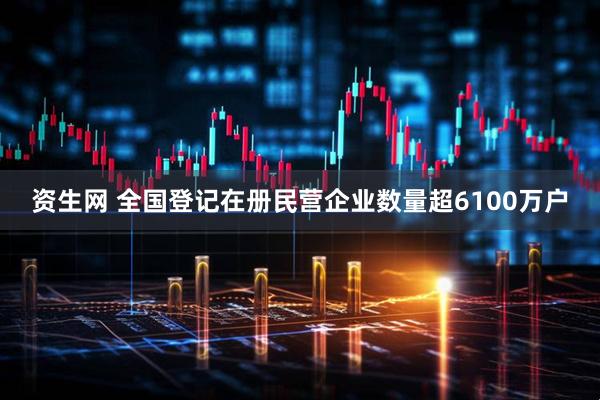 资生网 全国登记在册民营企业数量超6100万户