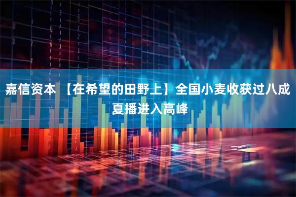 嘉信资本 【在希望的田野上】全国小麦收获过八成 夏播进入高峰