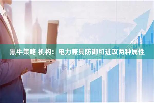 黑牛策略 机构：电力兼具防御和进攻两种属性