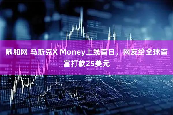 鼎和网 马斯克X Money上线首日，网友给全球首富打款25美元
